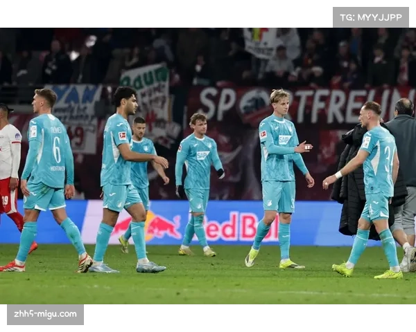 从保级到欧战：霍芬海姆本赛季的惊人蜕变